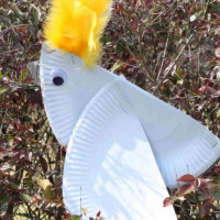 Paper Plate cockatoo
